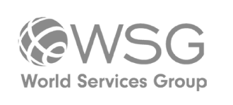 World Services Group